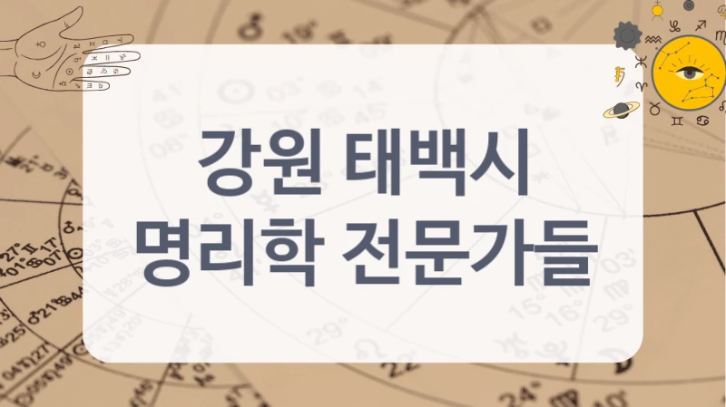 강원 태백시
명리학 전문가들