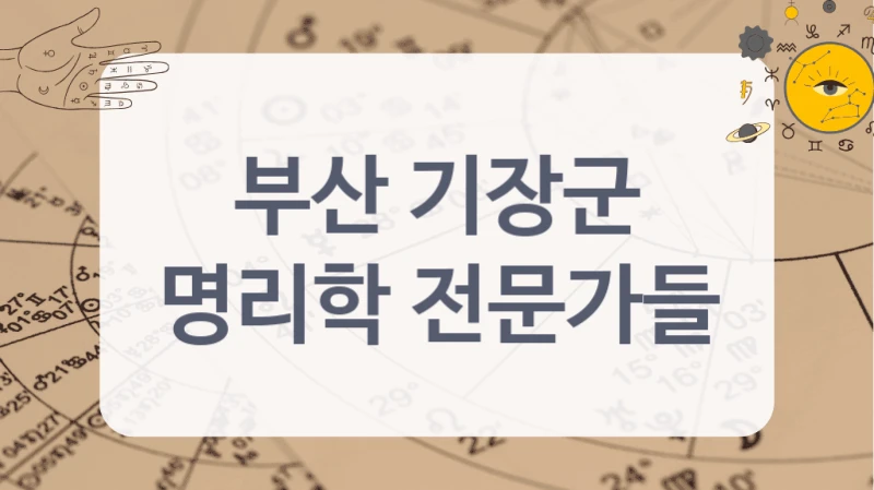 부산 기장군
명리학 전문가들