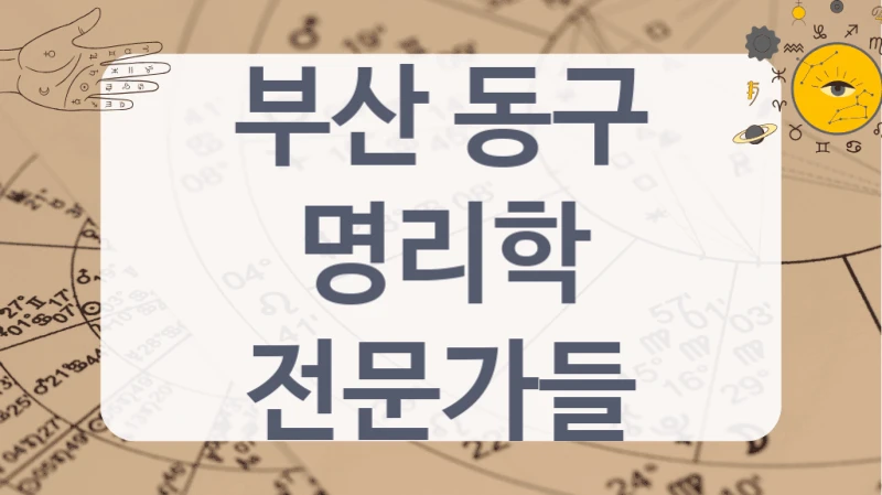 부산 동구
명리학 전문가들