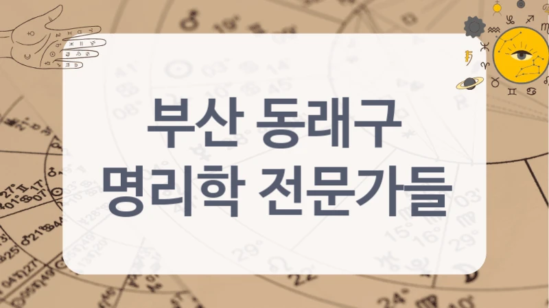 부산 동래구
명리학 전문가들