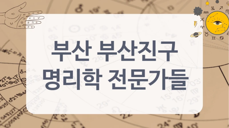 부산 부산진구
명리학 전문가들