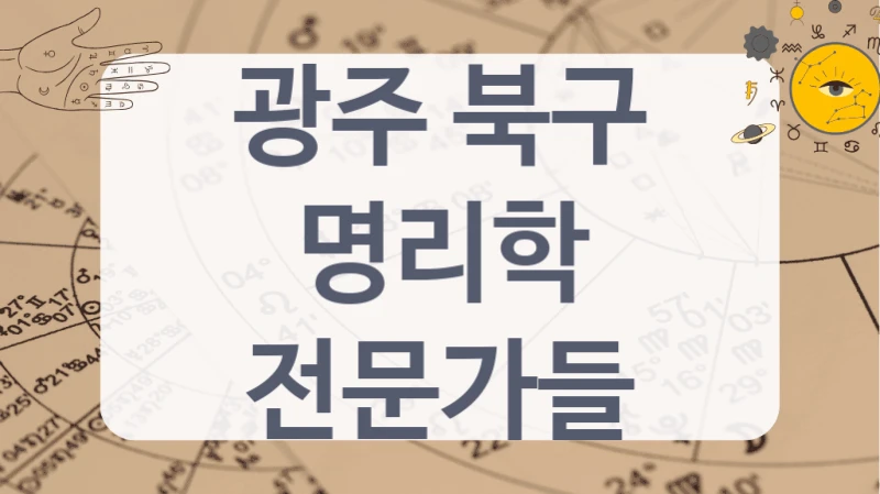 광주 북구
명리학 전문가들