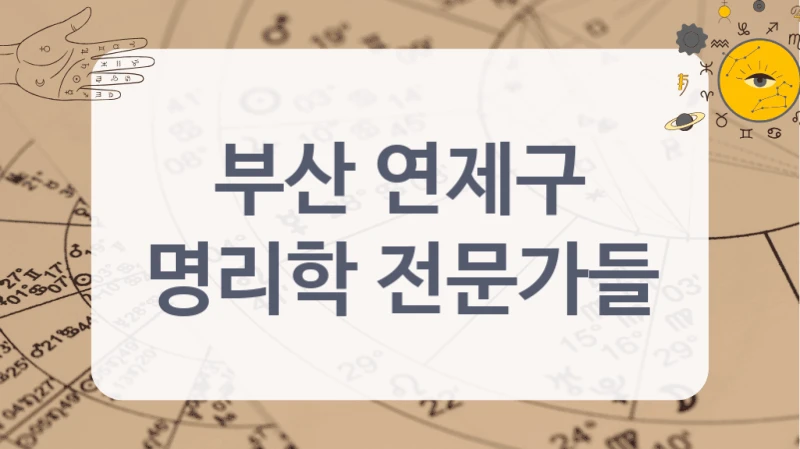 부산 연제구
명리학 전문가들