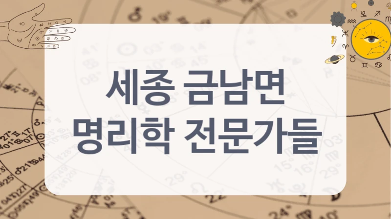 세종 금남면
명리학 전문가들