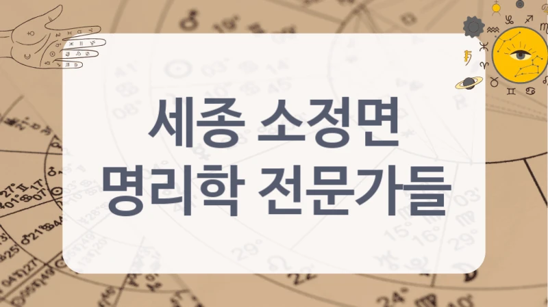 세종 소정면
명리학 전문가들
