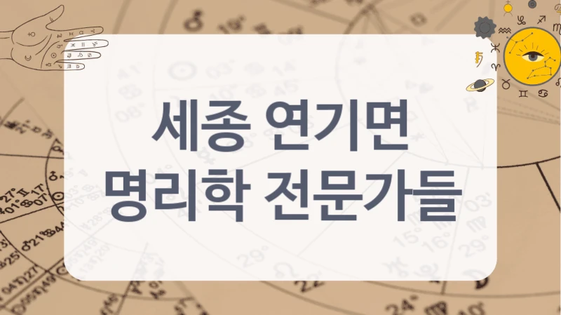 세종 연기면
명리학 전문가들