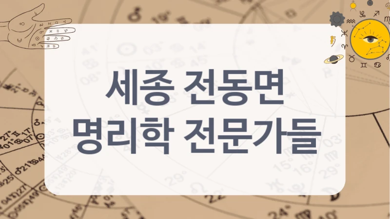 세종 전동면
명리학 전문가들