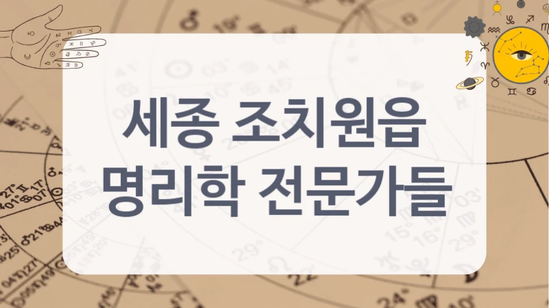 세종 조치원읍
명리학 전문가들
