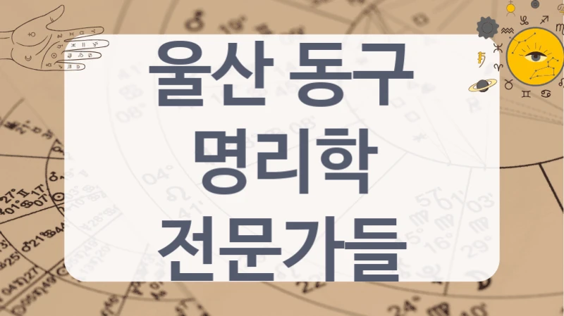 울산 동구
명리학 전문가들