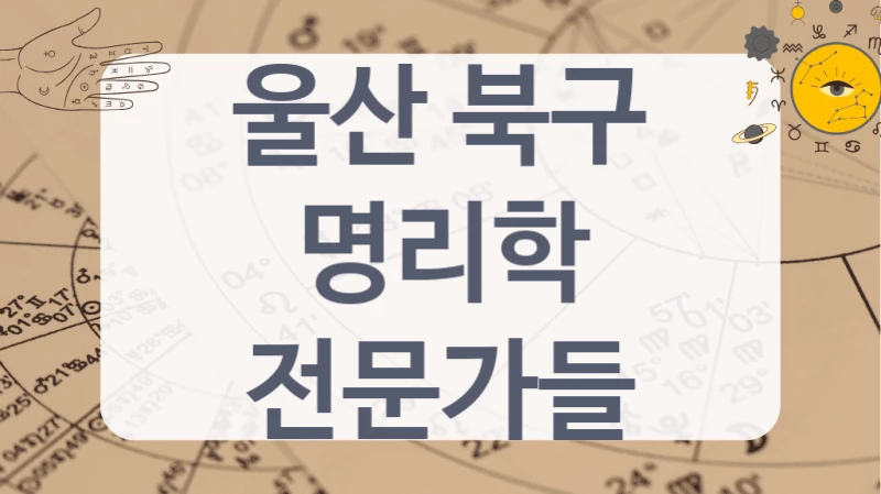 울산 북구
명리학 전문가들